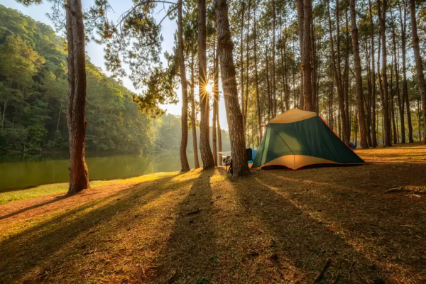 Image: Sponsored by Dell: Why itâs time to put your stake in a ground-to-cloud strategy