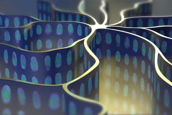 Image: Sponsored by UniSA: Illuminating Covert Networks with Cutting-Edge Techniques