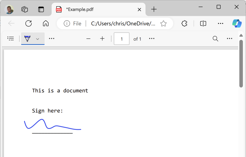 Windows Touch Screen: Signed Document