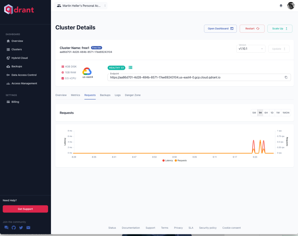 Qdrant cluster requests