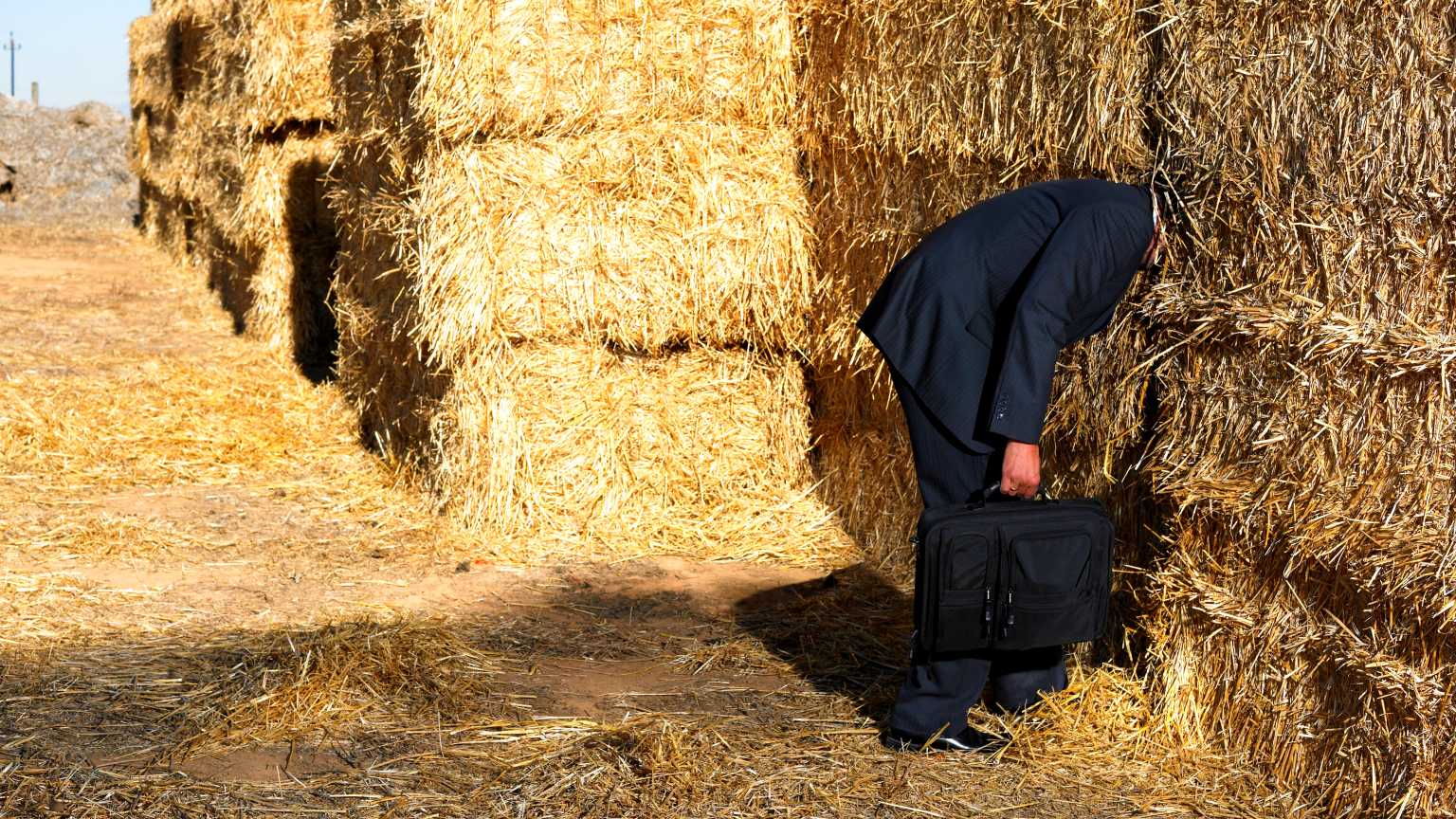 Haystack im Test Computerwoche