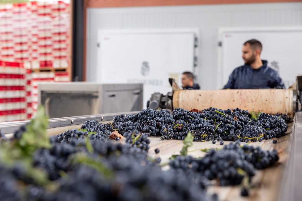 Bodega Matarromera