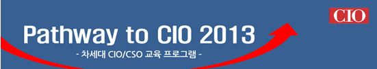Pathway to CIO 2013