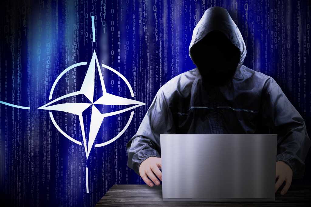 Nato und Hacker