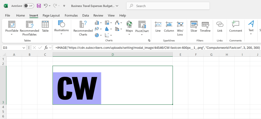 an image placed in an excel 2024 spreadsheet with the image function