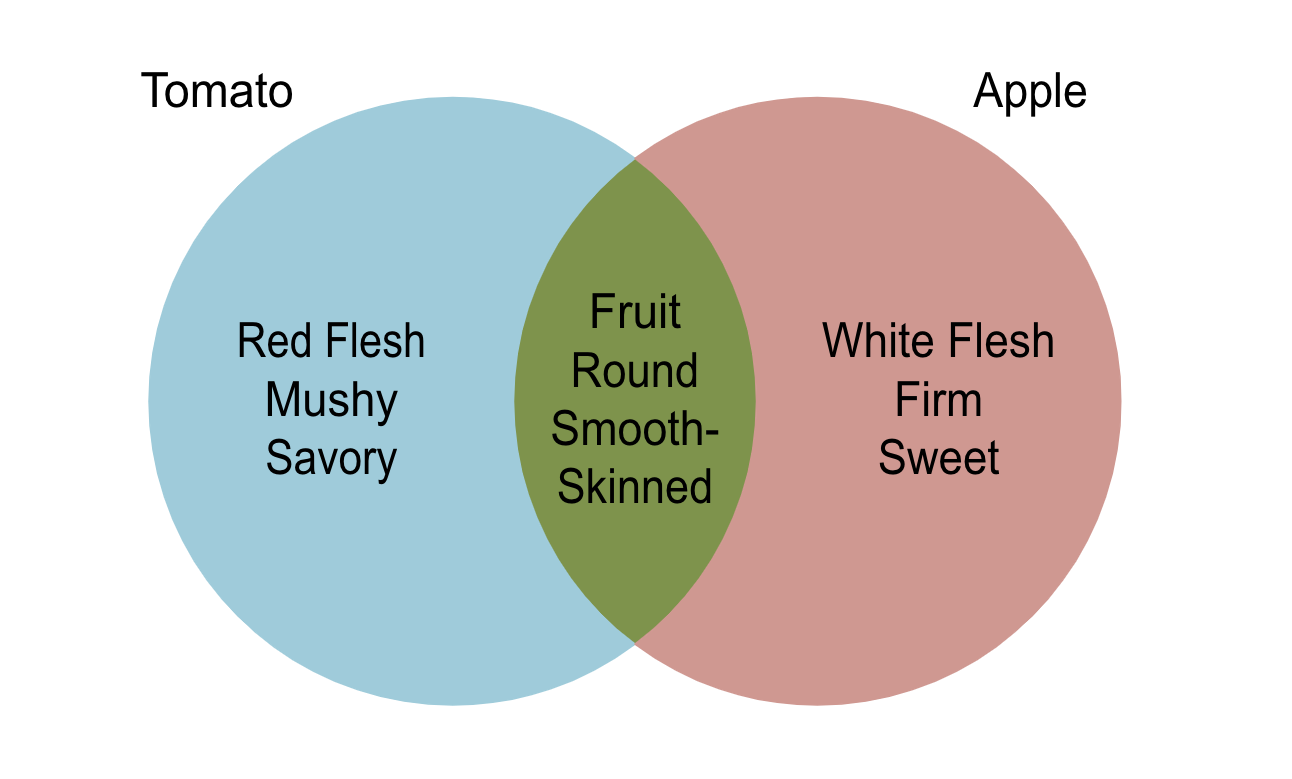 completed venn diagram in visio