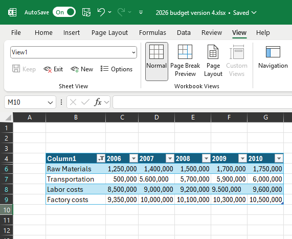 a filtered sheet view in excel