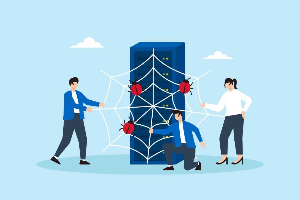 Spiderweb, Insects, Server, Cyber, People