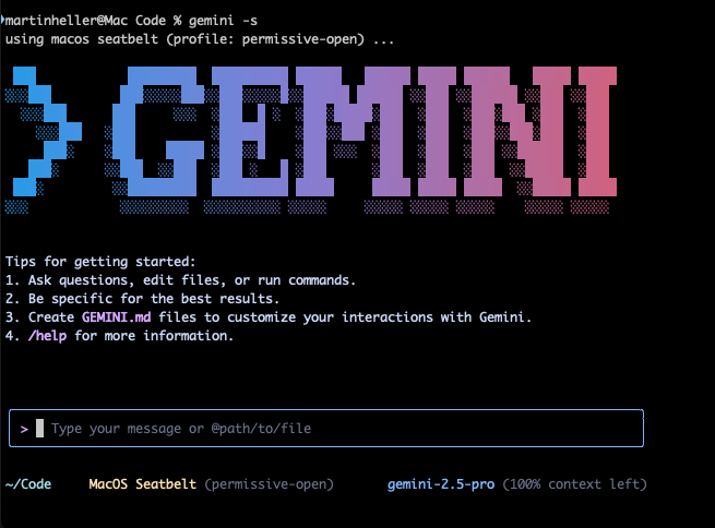 AI coding at the command line with Gemini CLI