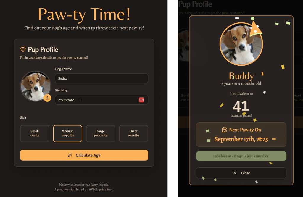 entry interface and successful result in paw-ty time app coded by firebase studio