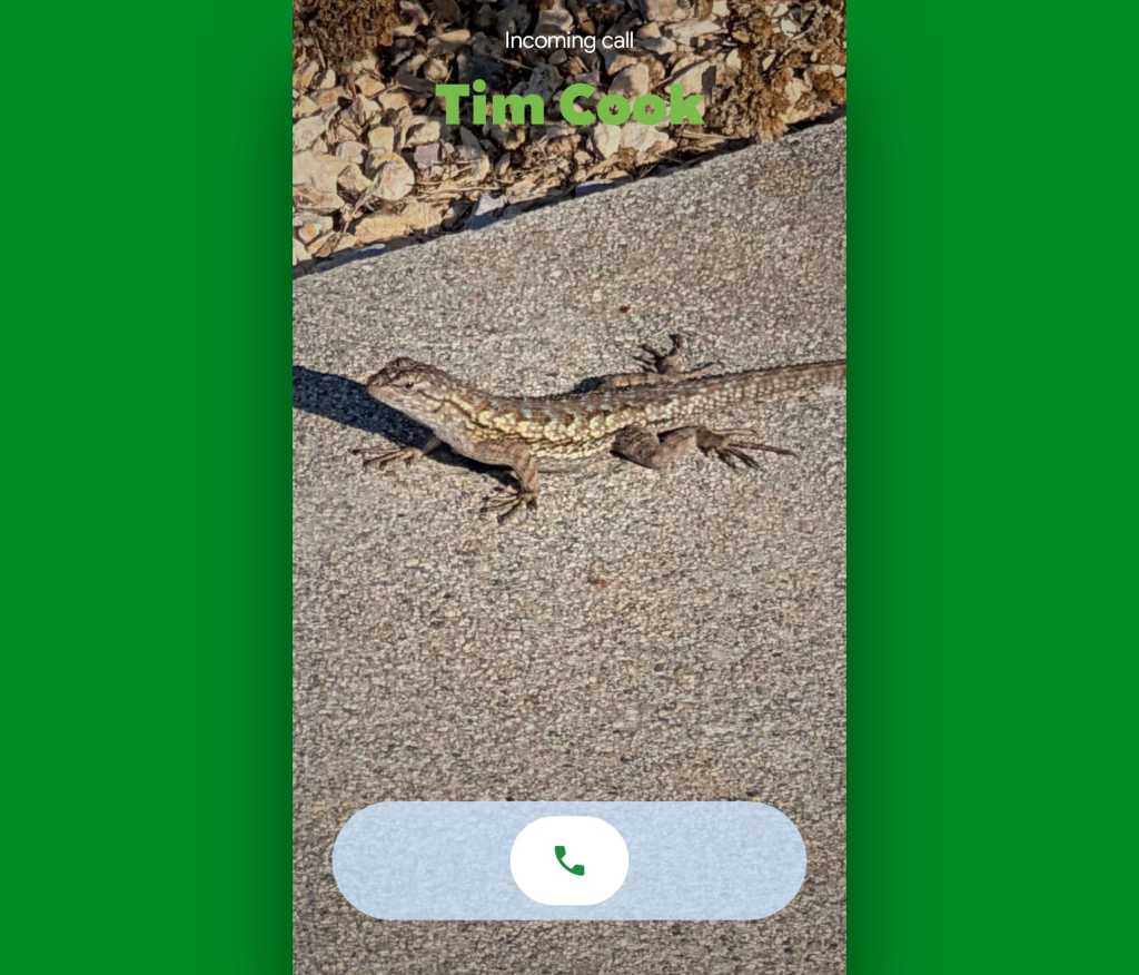 Google Pixel Phone features: Calling Card incoming call