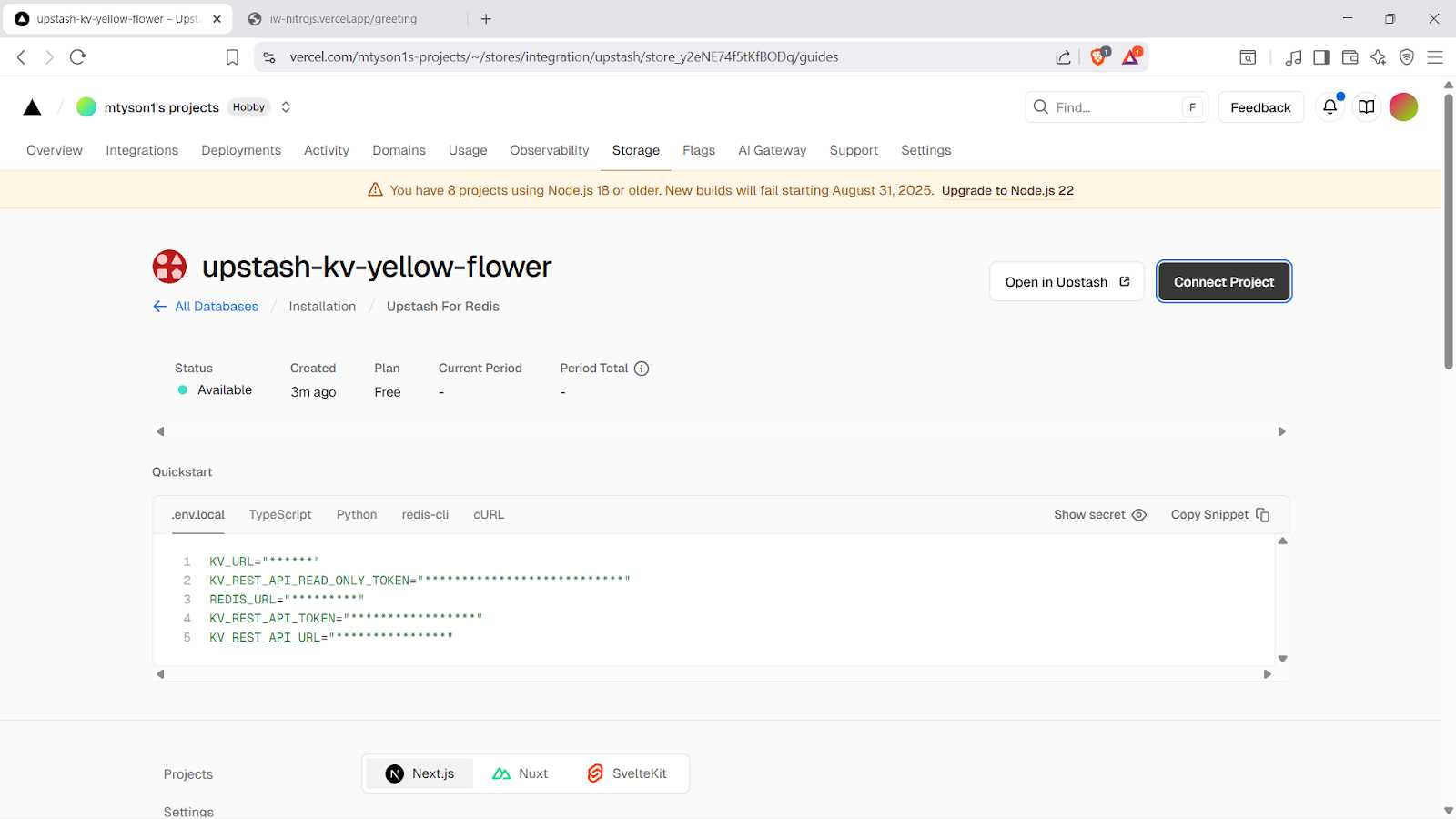 Connect the Nitro project to the database.