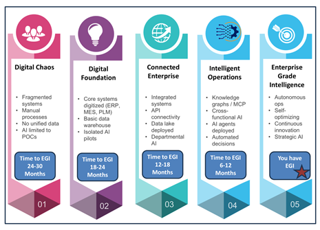 Figure 3: EGI maturity model