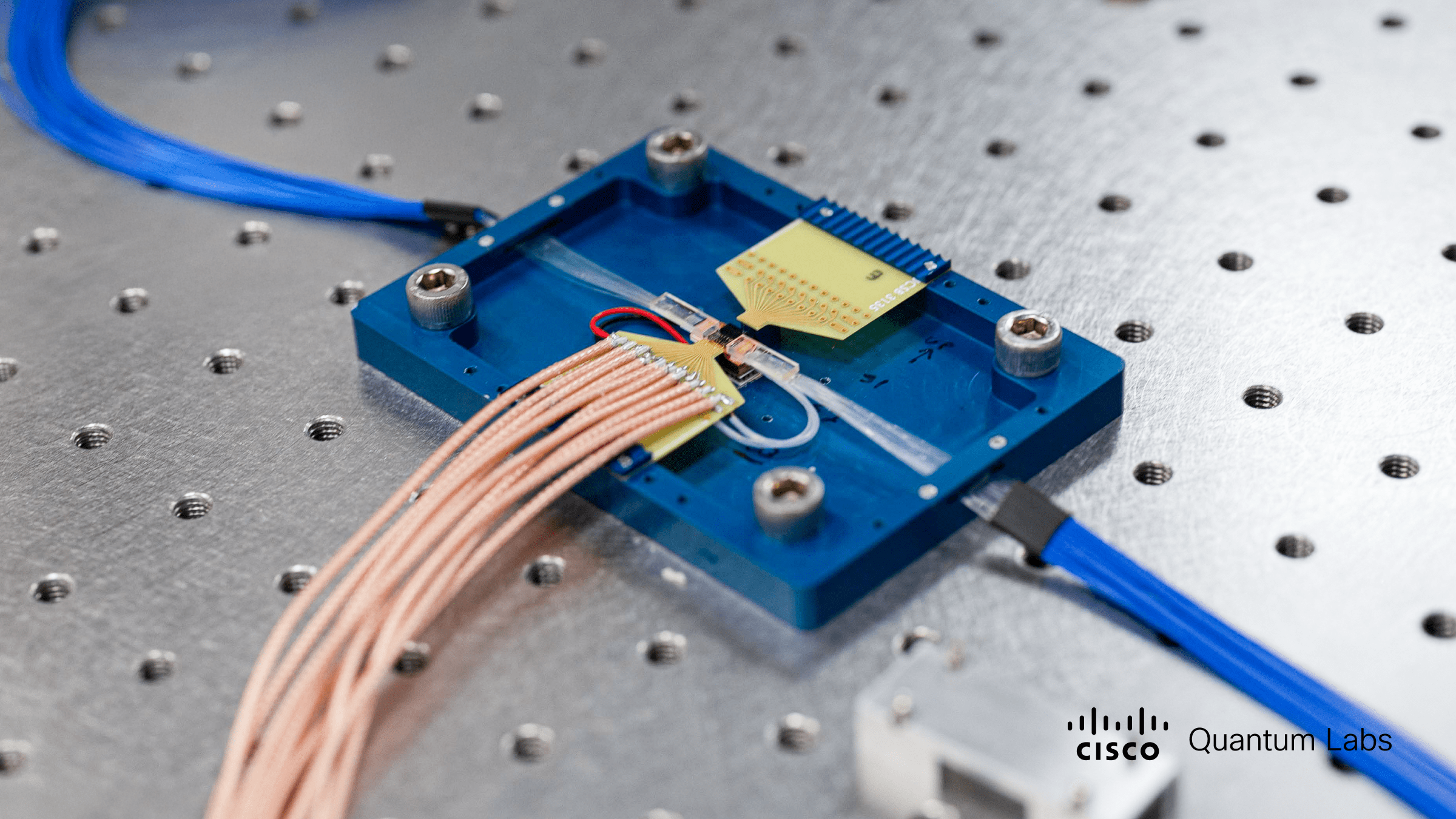 Cisco quantum networking entanglement chip