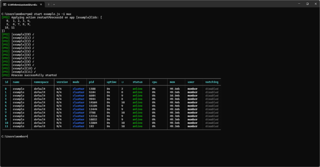 Screenshot of a Node-based multi-process web server showing the unique ID of each instance.