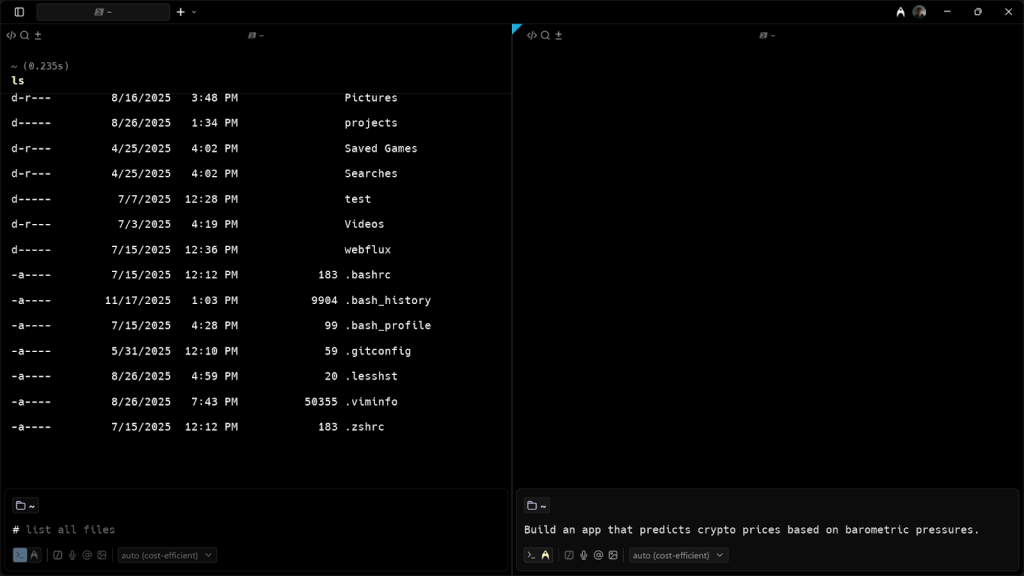 A screenshot of the Warp CLI.
