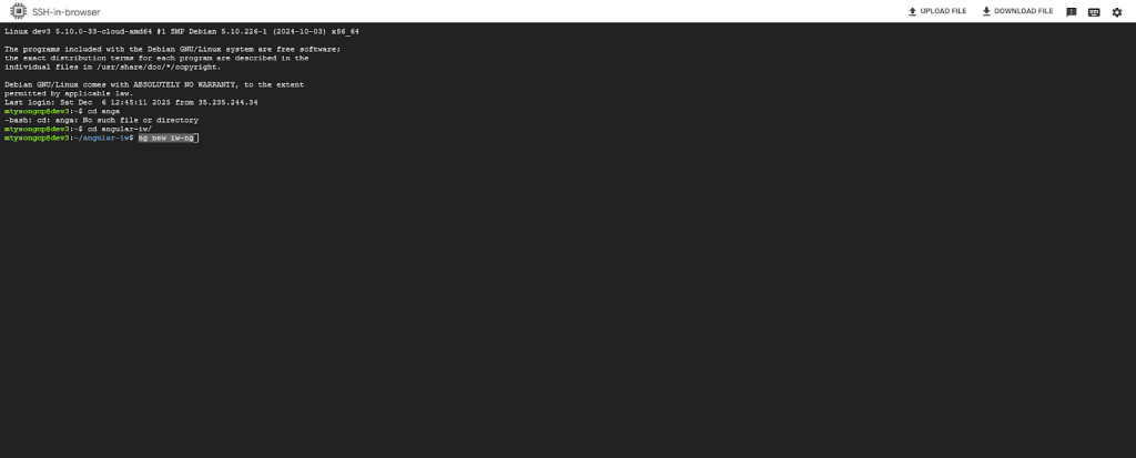 A screenshot of a new project setup in the Angular command-line interface.