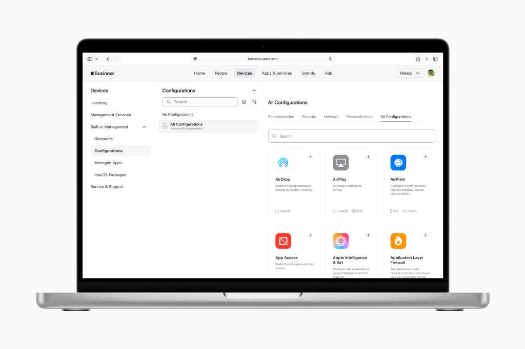 Apple Business console