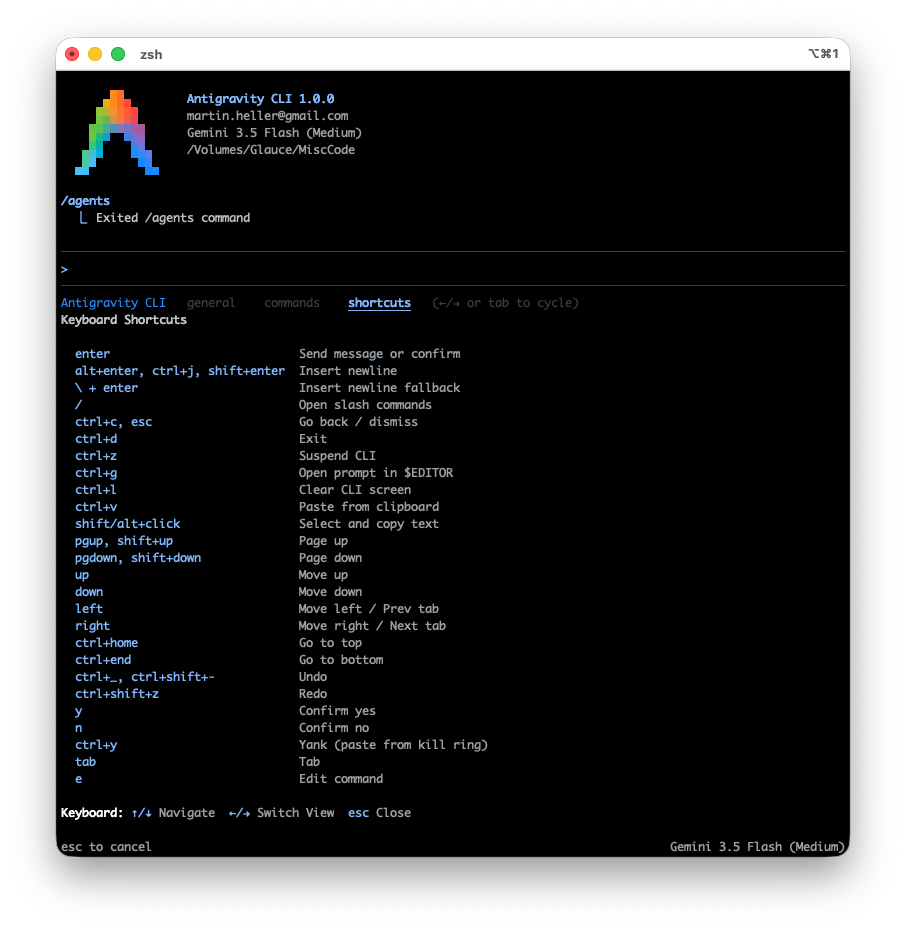 Google Antigravity CLI