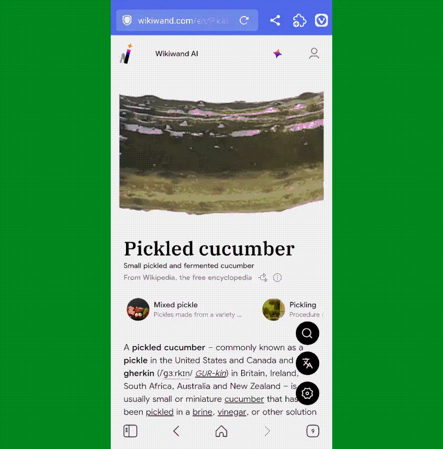 Chrome Android extensions: Wikiwand