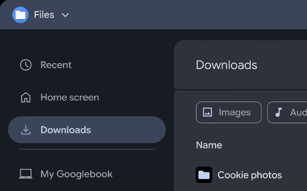 Googlebook Files
