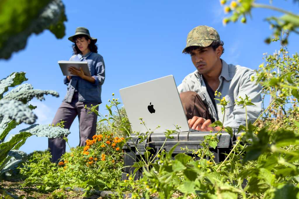 A man working with his MacBook Pro outside in a green place with a blue sky.